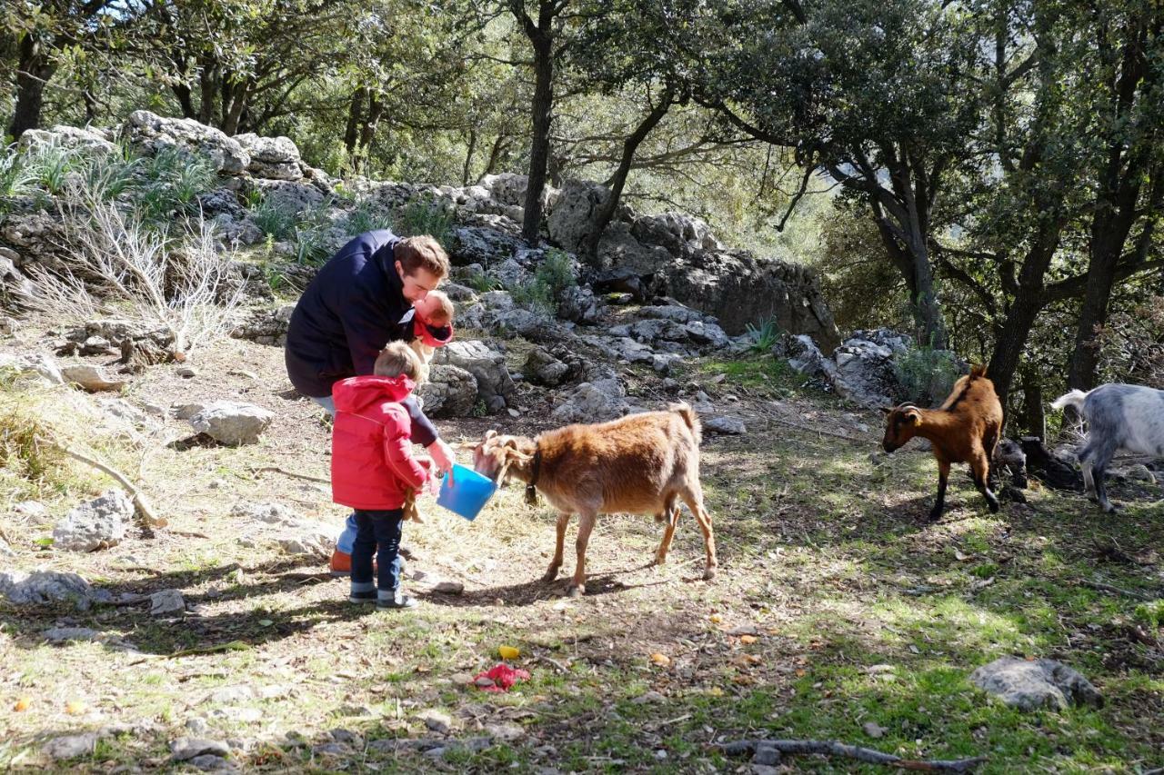 Agroturismo Son Alzines Lluc Zewnętrze zdjęcie